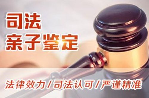 江苏司法DNA亲子鉴定在哪做,江苏司法DNA亲子鉴定条件和材料