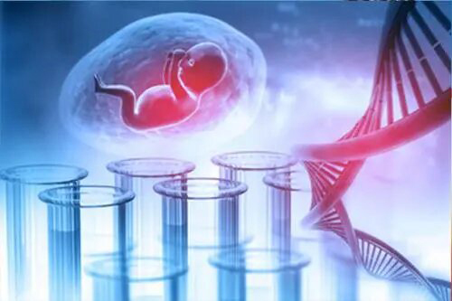 江苏孕期亲子鉴定中心到哪里,江苏孕期亲子鉴定预约办理