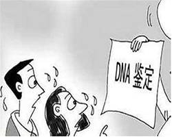江苏血缘检测机构收费标准，江苏亲子鉴定中心流程