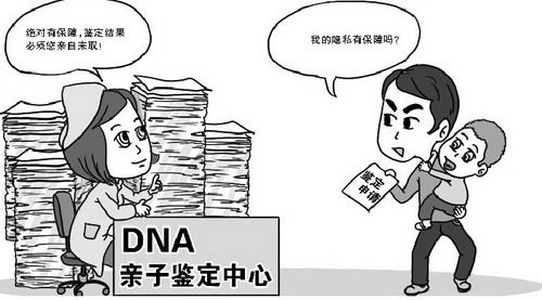 江苏怀孕亲子鉴定流程是怎样的,